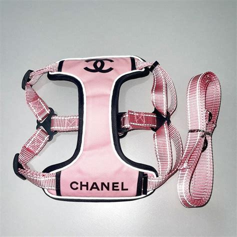 chanel clothes for dogs|chanel dog collar and leash.